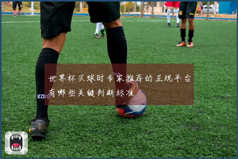 世界杯买球时专家推荐的正规平台有哪些关键判断标准