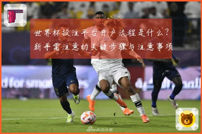 世界杯投注平台开户流程是什么？新手需注意的关键步骤与注意事项