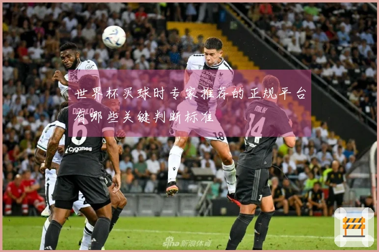 世界杯买球时专家推荐的正规平台有哪些关键判断标准