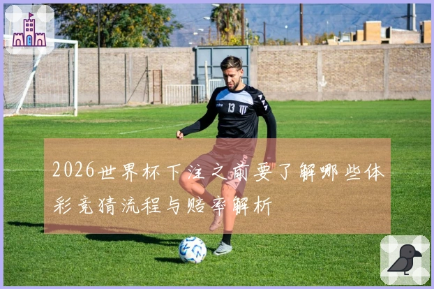 2026世界杯下注之前要了解哪些体彩竞猜流程与赔率解析