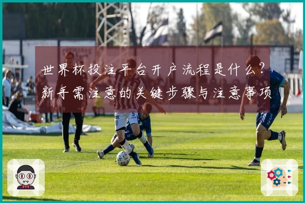 世界杯投注平台开户流程是什么？新手需注意的关键步骤与注意事项